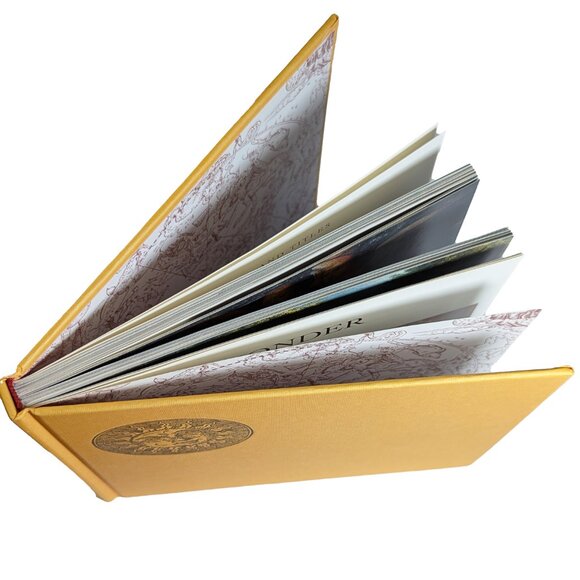 Visionary Poetry Book ART & WONDER illustrated occult surreal angel zodiac poems - Picture 3 of 15